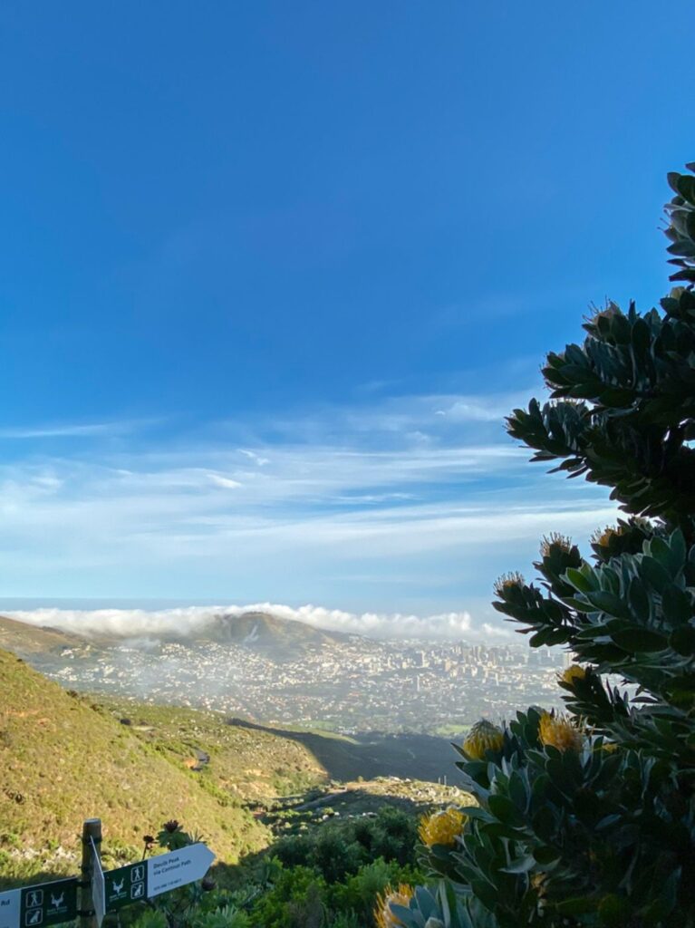 Luxury property for sale in Vallvidrera